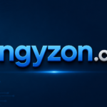zingyzon.com
