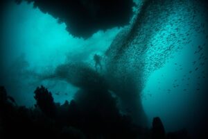 The Deep Ocean Is Still One of the Least Known Places on Earth