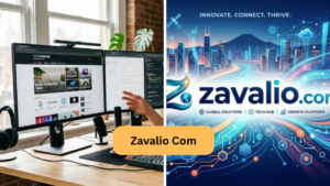 Zavalio Com